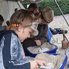 Schlosshofprojekt